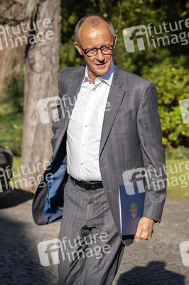 17. Kabinettssitzung der Bundesregierung in Berlin