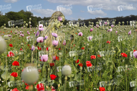 FARBKÖRPER Kalender 2026: Bodypainting Variationen