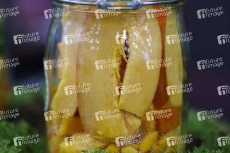 Lebensmittel-Fachmesse Anuga 2025 in Köln