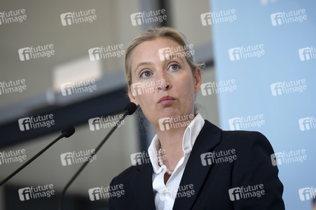 Fraktionssitzung der AfD-Bundestagsfraktion in Berlin