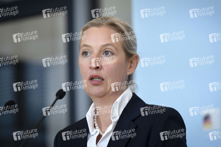 Fraktionssitzung der AfD-Bundestagsfraktion in Berlin