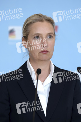 Fraktionssitzung der AfD-Bundestagsfraktion in Berlin