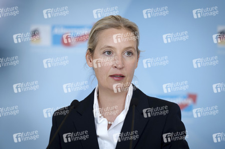 Fraktionssitzung der AfD-Bundestagsfraktion in Berlin