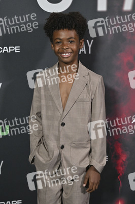 Filmpremiere 'Stay' in Los Angeles