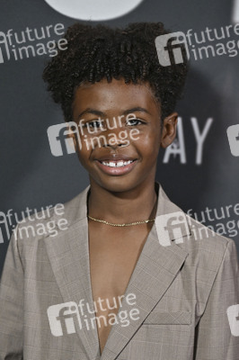 Filmpremiere 'Stay' in Los Angeles