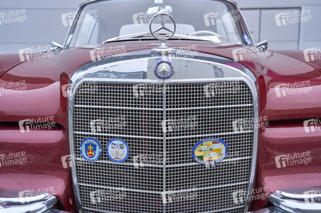 Messe infa 2025 in Hannover