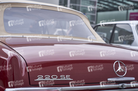 Messe infa 2025 in Hannover