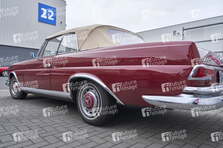 Messe infa 2025 in Hannover