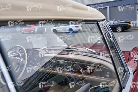 Messe infa 2025 in Hannover