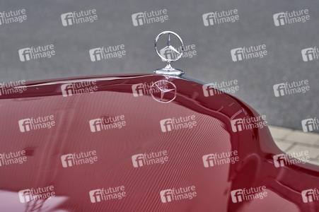 Messe infa 2025 in Hannover