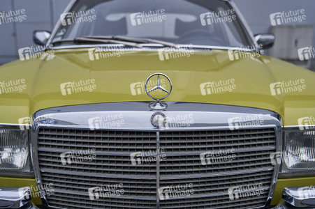 Messe infa 2025 in Hannover