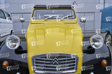 Messe infa 2025 in Hannover