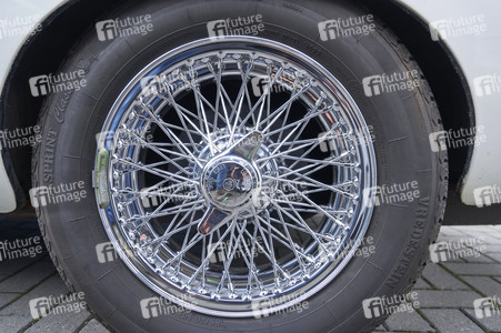 Messe infa 2025 in Hannover