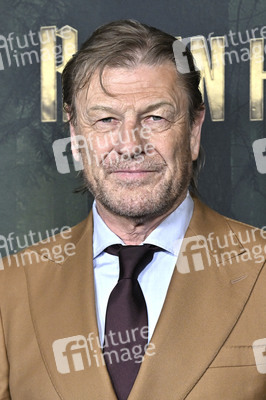 Serienpremiere 'Robin Hood' in Culver City