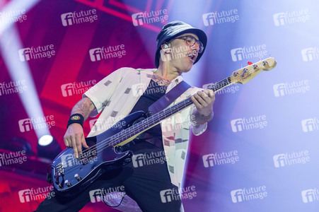 Konzert von Volbeat in Hannover