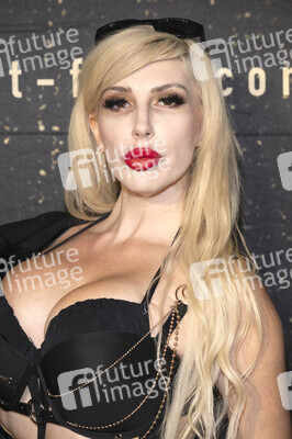 Filmpremiere 'The Gift' in Los Angeles