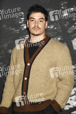 Filmpremiere 'Train Dreams' in Los Angeles