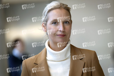 Fraktionssitzung der AfD-Bundestagsfraktion in Berlin