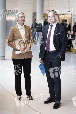 Fraktionssitzung der AfD-Bundestagsfraktion in Berlin