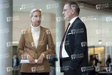Fraktionssitzung der AfD-Bundestagsfraktion in Berlin
