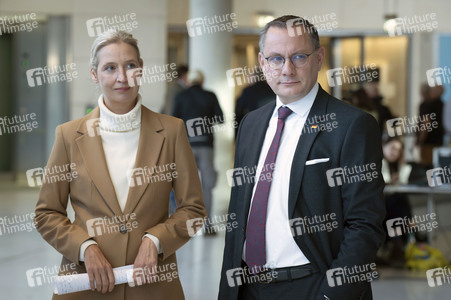 Fraktionssitzung der AfD-Bundestagsfraktion in Berlin