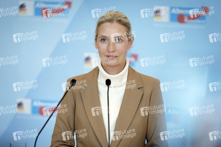 Fraktionssitzung der AfD-Bundestagsfraktion in Berlin