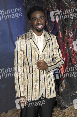 FYC Event 'Stranger Things' in Los Angeles