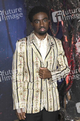 FYC Event 'Stranger Things' in Los Angeles