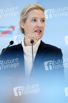 Fraktionssitzung der AfD-Bundestagsfraktion in Berlin