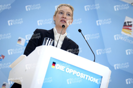 Fraktionssitzung der AfD-Bundestagsfraktion in Berlin