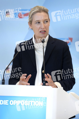 Fraktionssitzung der AfD-Bundestagsfraktion in Berlin