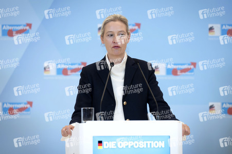 Fraktionssitzung der AfD-Bundestagsfraktion in Berlin
