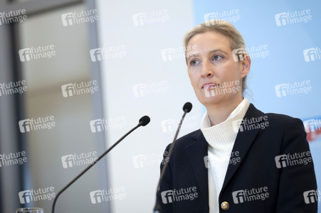 Fraktionssitzung der AfD-Bundestagsfraktion in Berlin