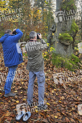 NATURE ART:  Herbst / Autumn Bodypainting