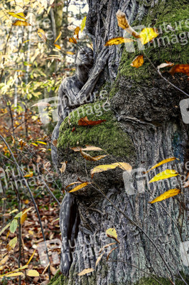 NATURE ART:  Herbst / Autumn Bodypainting