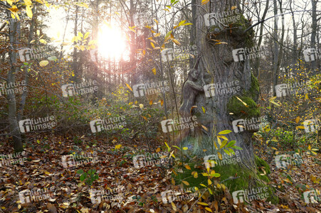 NATURE ART:  Herbst / Autumn Bodypainting