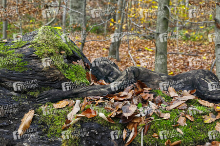 NATURE ART:  Herbst / Autumn Bodypainting