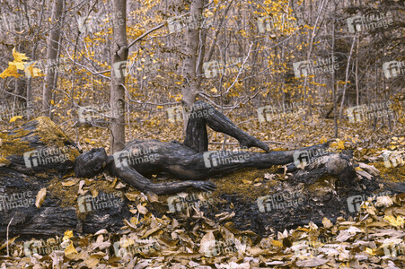NATURE ART:  Herbst / Autumn Bodypainting