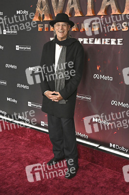 Filmpremiere 'Avatar: Fire and Ash' in Los Angeles