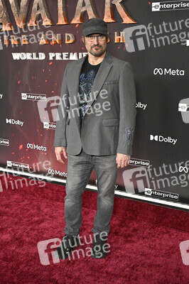 Filmpremiere 'Avatar: Fire and Ash' in Los Angeles