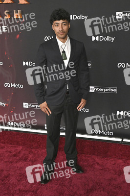 Filmpremiere 'Avatar: Fire and Ash' in Los Angeles