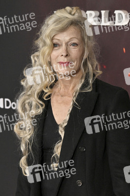 Filmpremiere 'Avatar: Fire and Ash' in Los Angeles