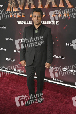 Filmpremiere 'Avatar: Fire and Ash' in Los Angeles