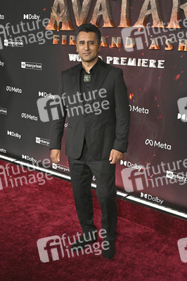 Filmpremiere 'Avatar: Fire and Ash' in Los Angeles