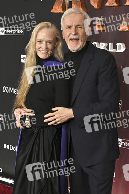 Filmpremiere 'Avatar: Fire and Ash' in Los Angeles