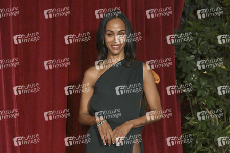 Filmpremiere 'Avatar: Fire and Ash' in Los Angeles