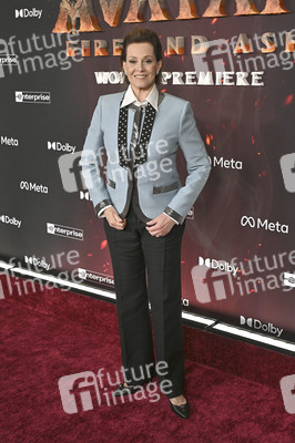 Filmpremiere 'Avatar: Fire and Ash' in Los Angeles