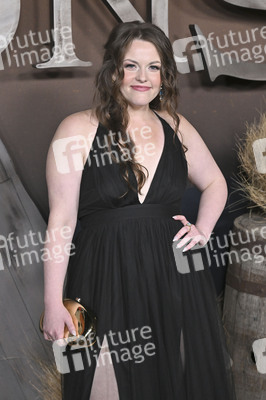 Serienpremiere 'The Abandons' in Los Angeles