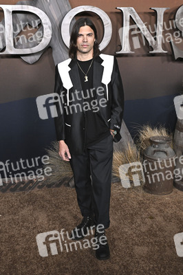 Serienpremiere 'The Abandons' in Los Angeles