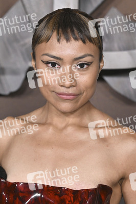 Serienpremiere 'The Abandons' in Los Angeles